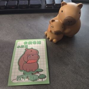 Capybara Blind Box Figurine